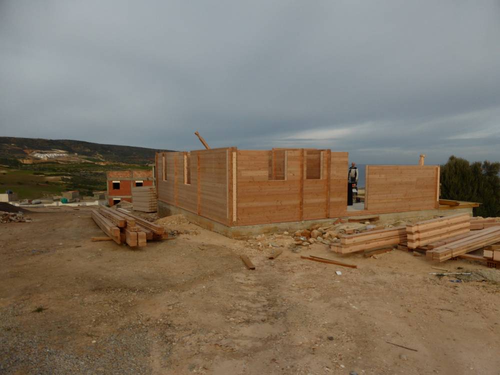 P1000988 - Copie.jpg